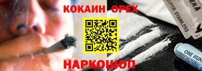 шишки Кингисепп