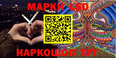 шишки Кингисепп
