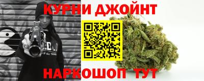 шишки Кингисепп