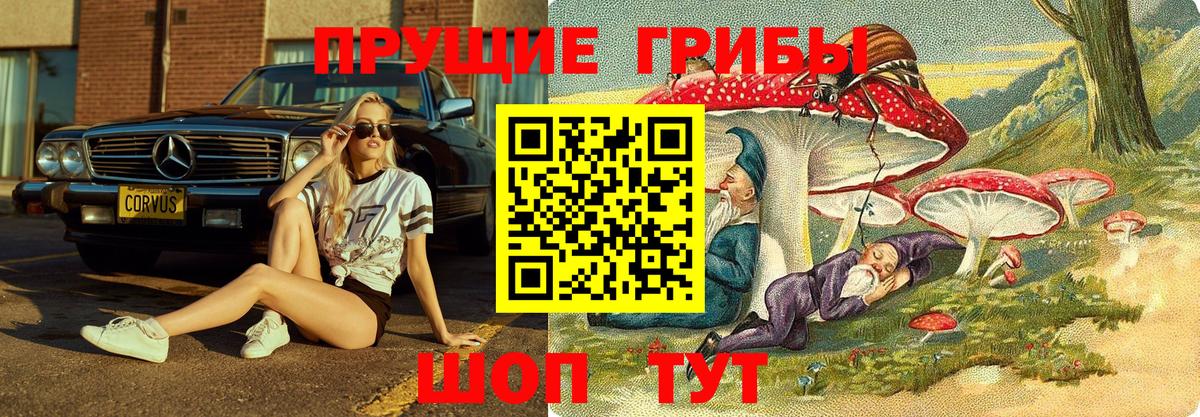 Галлюциногенные грибы Magic Shrooms  Вход с VPN  Канаш  Псилоцибиновые грибы GOLDEN TEACHER 