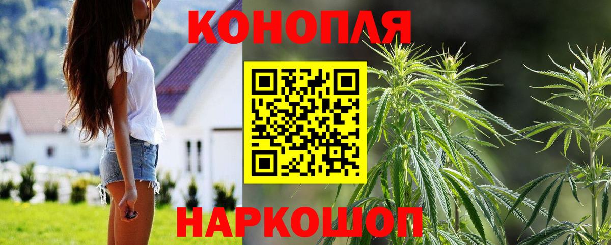Бошки марихуана White Widow  Вход с VPN  Каннабис THC 21%  Шишки марихуана SATIVA & INDICA  Канаш 